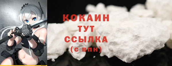 apvp Костерёво