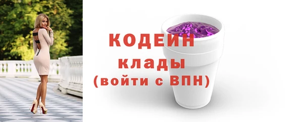 гашик Краснослободск