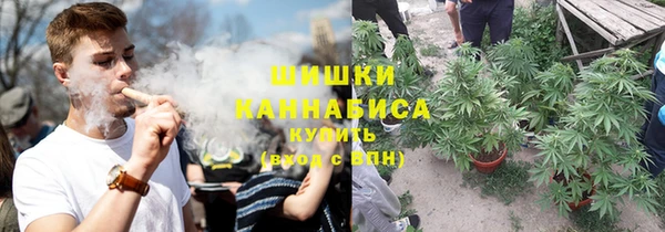 твердый Корсаков