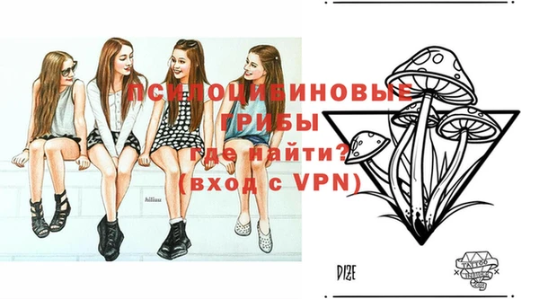 apvp Костерёво