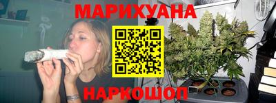 индика Шелехов