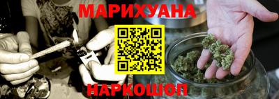 индика Шелехов