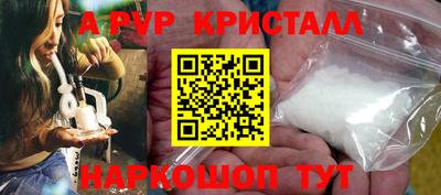 индика Шелехов