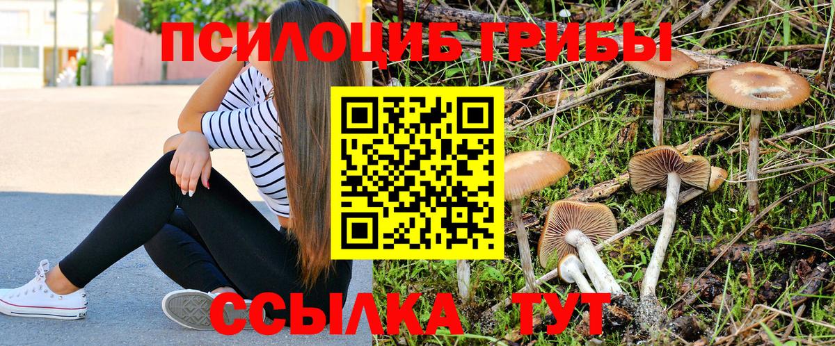 Галлюциногенные грибы GOLDEN TEACHER Ачинск